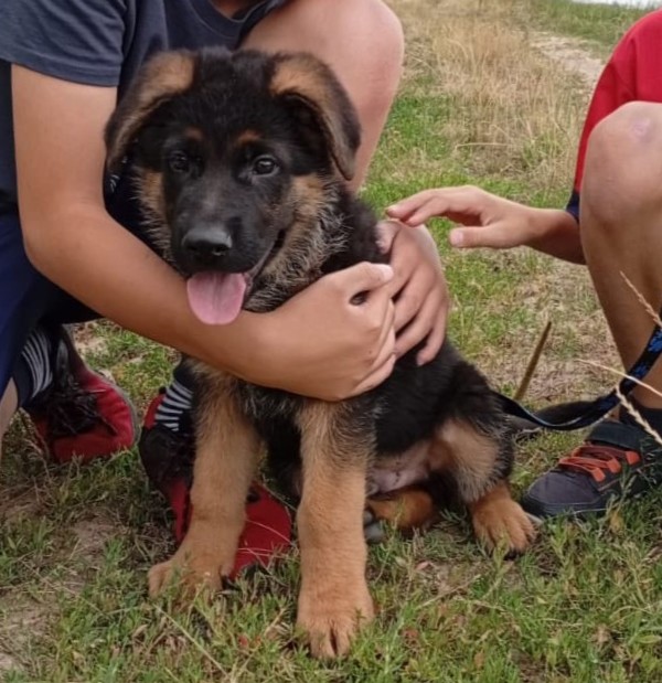 foto cervenec 2025 11