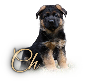 vrh ch klik