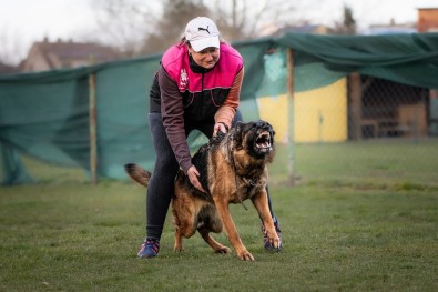 Bestijka duben 2026 04