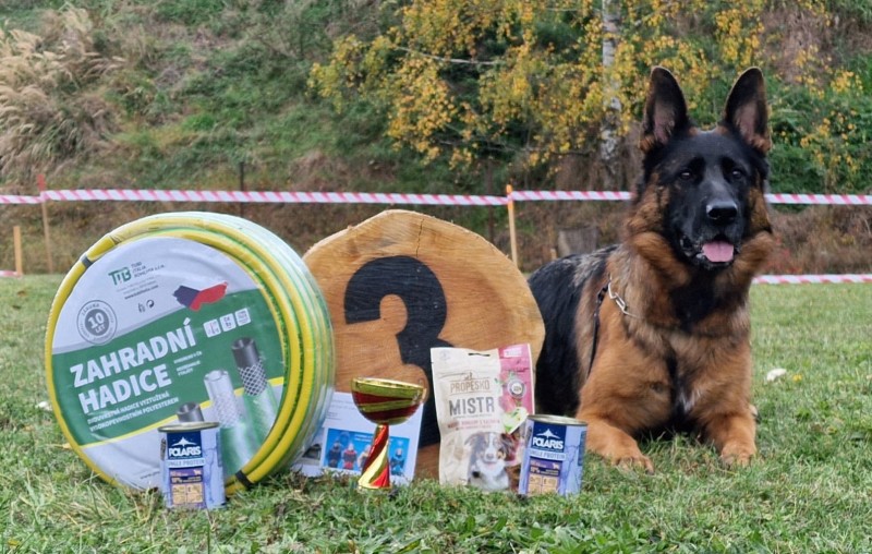 Bestijka rijen 2025 06