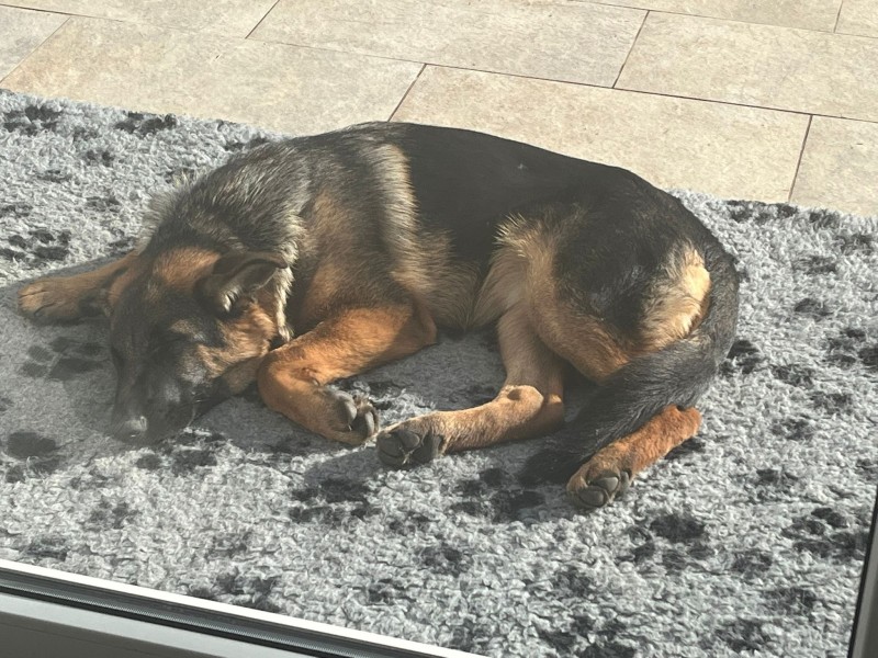 Charley rijen 2025 01