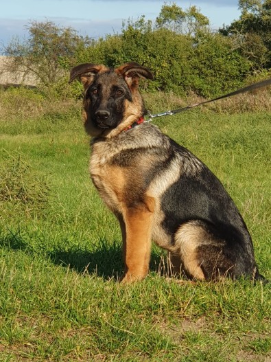 Charley rijen 2025 02