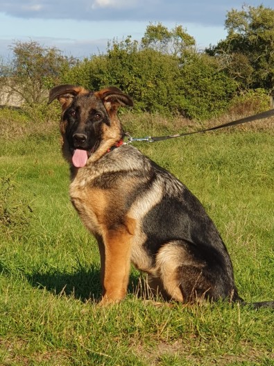 Charley rijen 2025 03