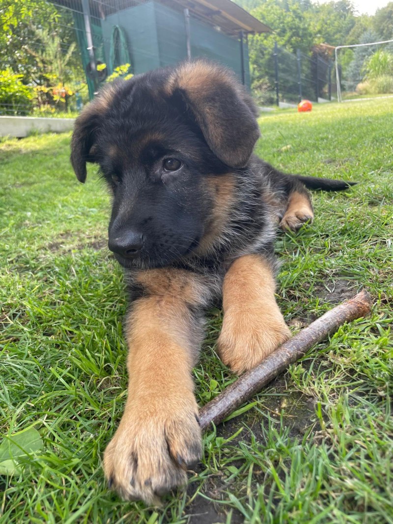 Dixinka 3. mesice 10