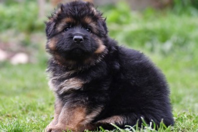 Harry 5. tydnu 01 2111