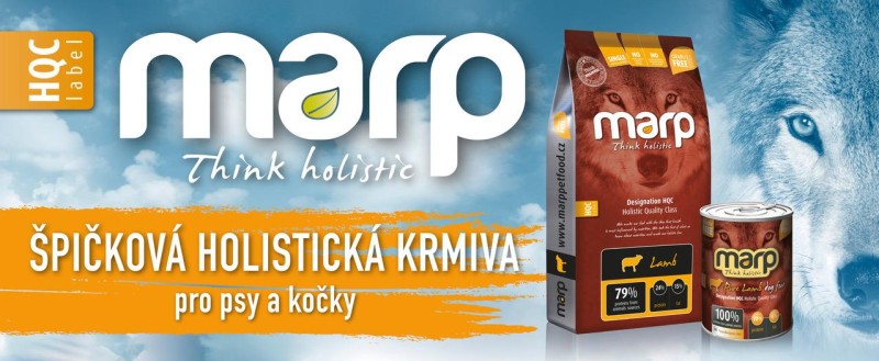 Marp b 01