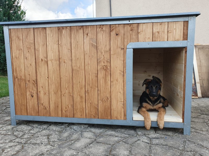 cervena fenka ch 25 mesicu 2025 4