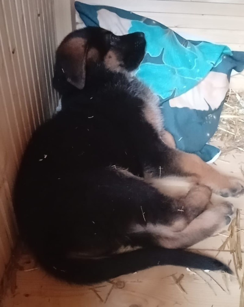 foto cervenec 2025 12