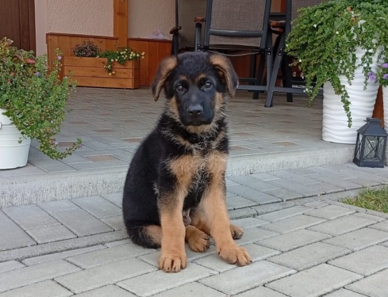 foto cervenec 2025 14