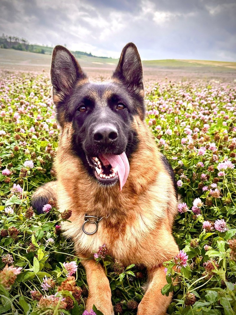 foto cervenec 2025 16