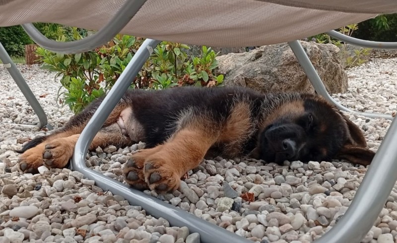 foto cervenec 2025 20