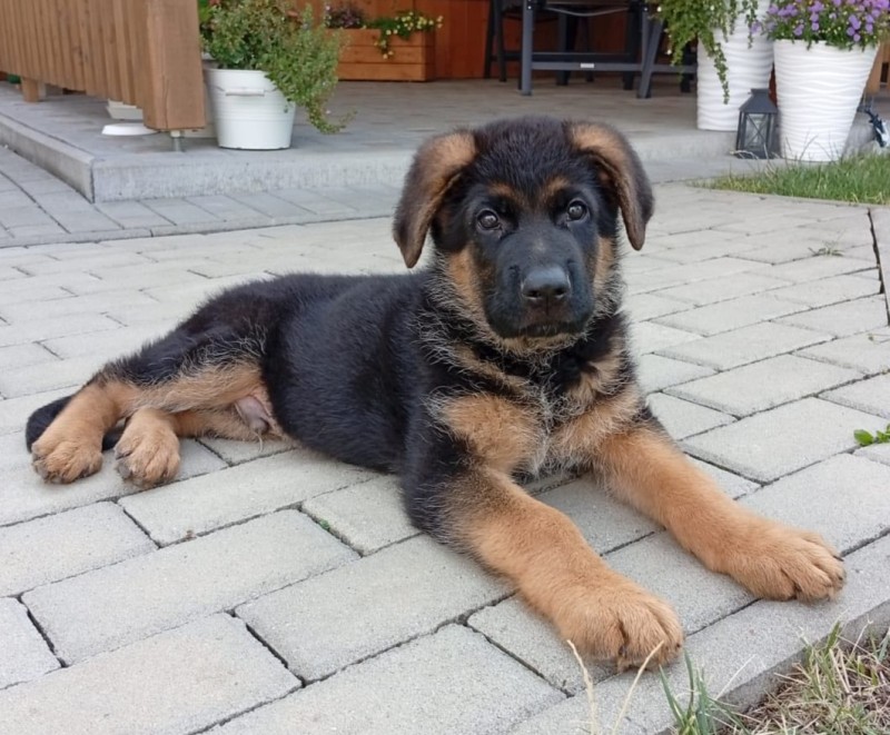 foto cervenec 2025 7