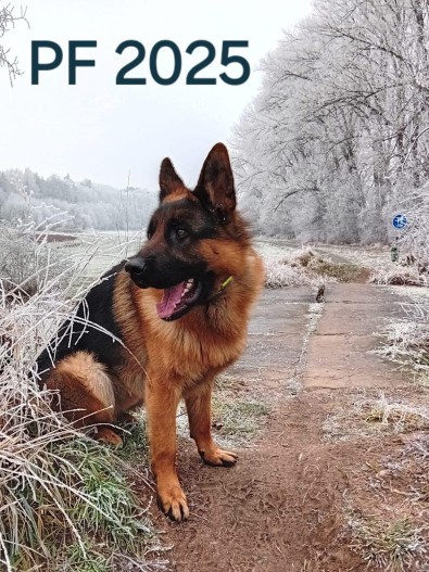 foto leden 2025 53