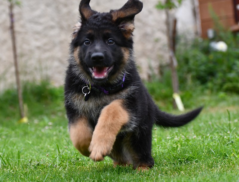 vrh ch 8 tydnu 01 311