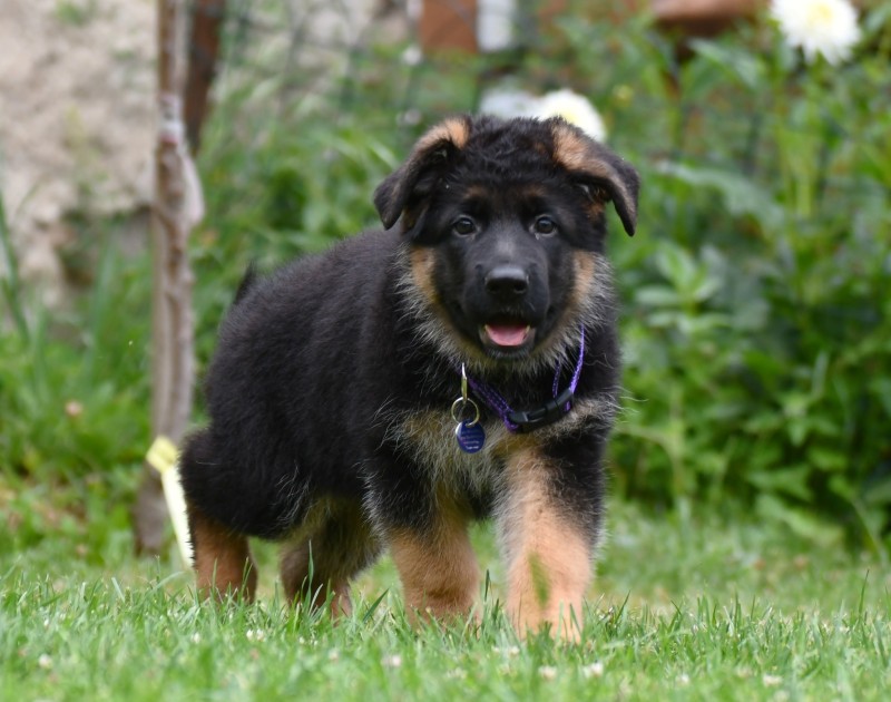 vrh ch 8 tydnu 01 42